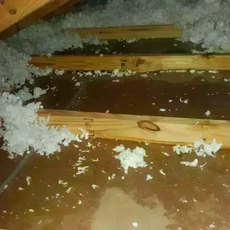 Attic Water Damage in Buxton, ME